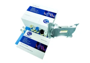 ch-k0018-1-cho-host-cell-protein-elisa-kit