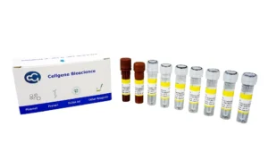 host-cell-dna-residue-detection-kit