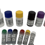 Human CCL12 ELISA Kit