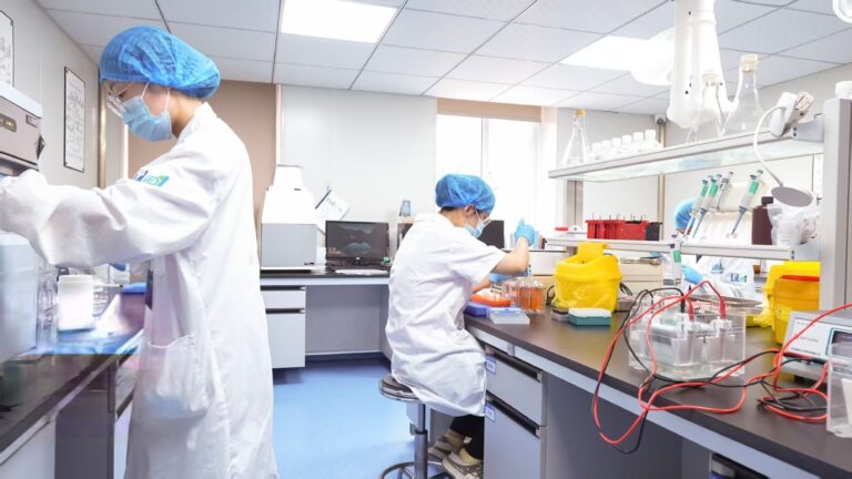 Human CCL18 ELISA Kit For Immune Regulation & Fibrosis Research