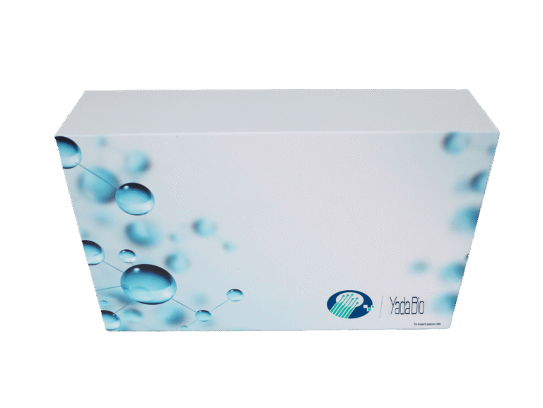 Human CCL18 ELISA Kit For Immune Regulation & Fibrosis Research