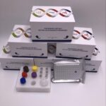 Mouse 5AR ELISA Kit