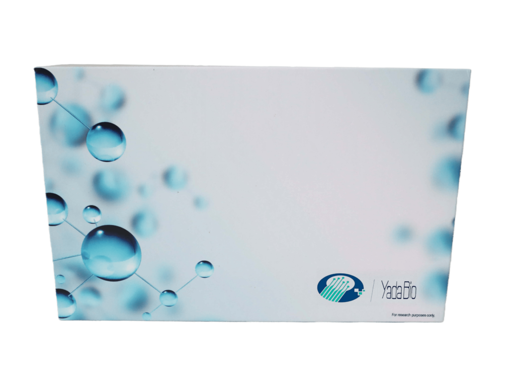 Rabbit Interleukin 13 (IL-13) ELISA Kit