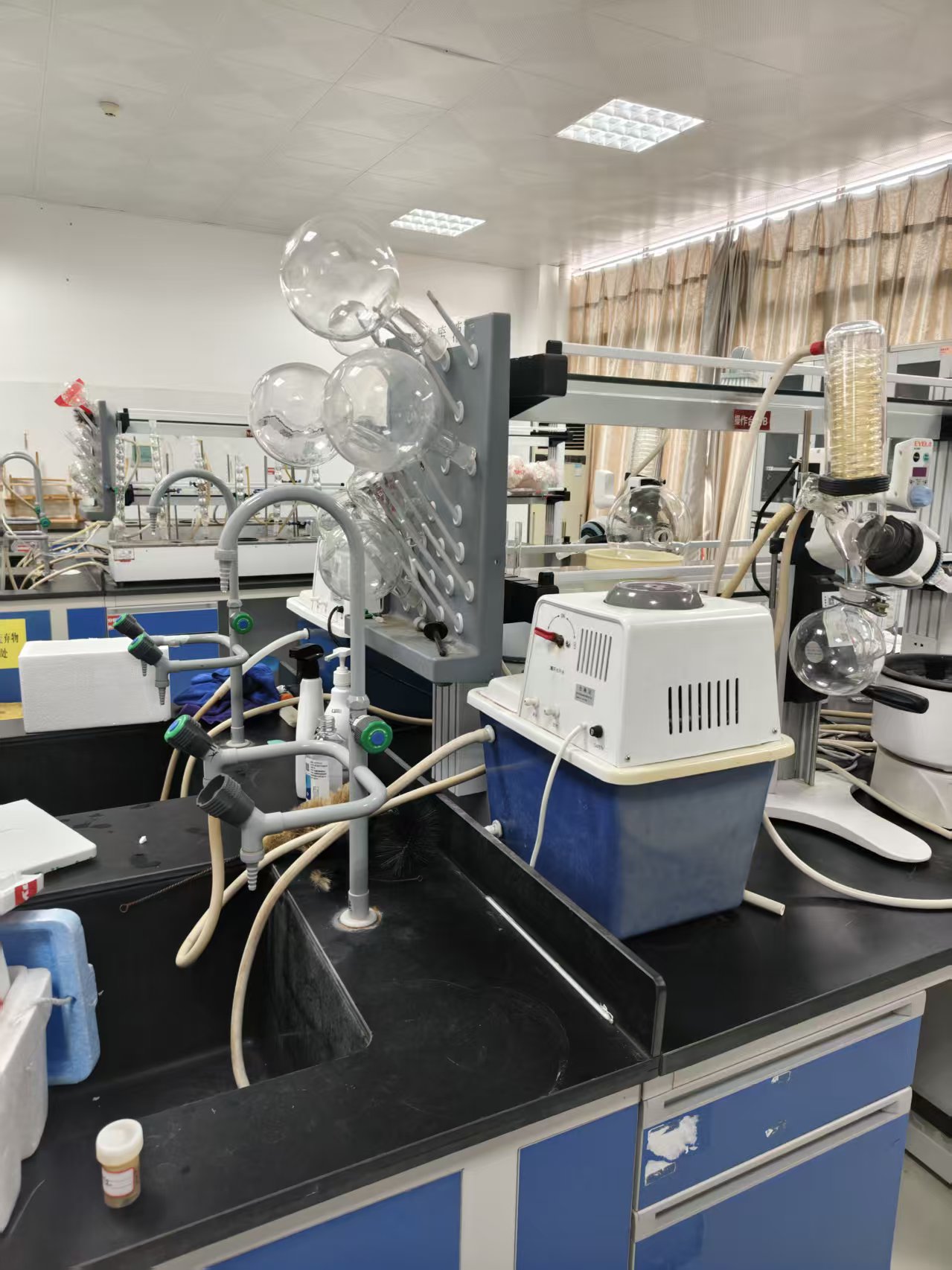 best elisa kit manufacturers