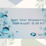 Human Total Adiponectin / Acrp30 ELISA Kit
