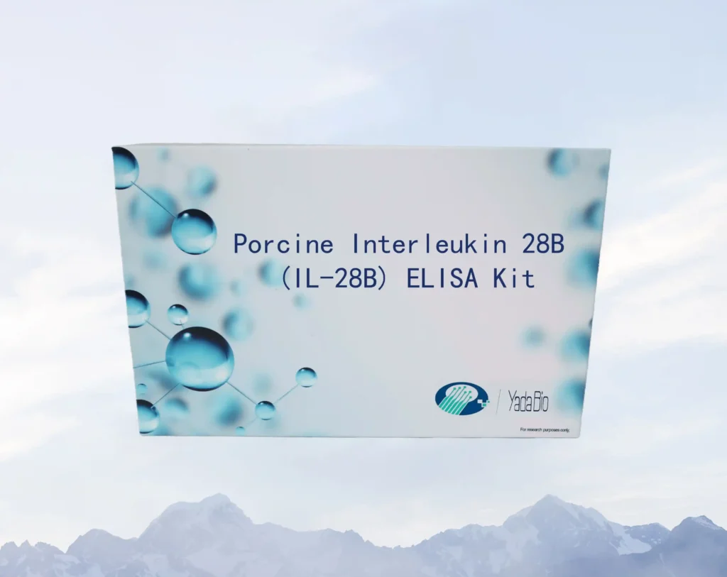 Porcine Interleukin 28B (IL-28B) ELISA Kit