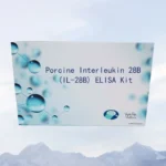 Porcine Interleukin 28B (IL-28B) ELISA Kit