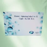 Human Immunoglobulin G (IgG) ELISA Kit