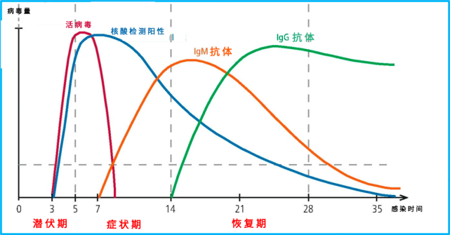 IGg IGa IGm elisa kit