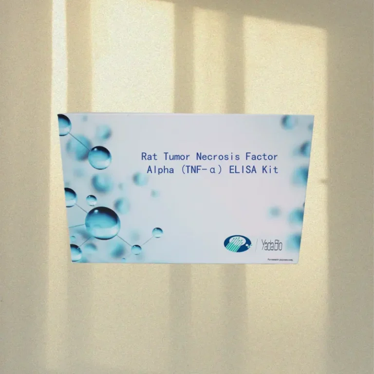 Rat Tumor Necrosis Factor Alpha (TNF-α) ELISA Kit