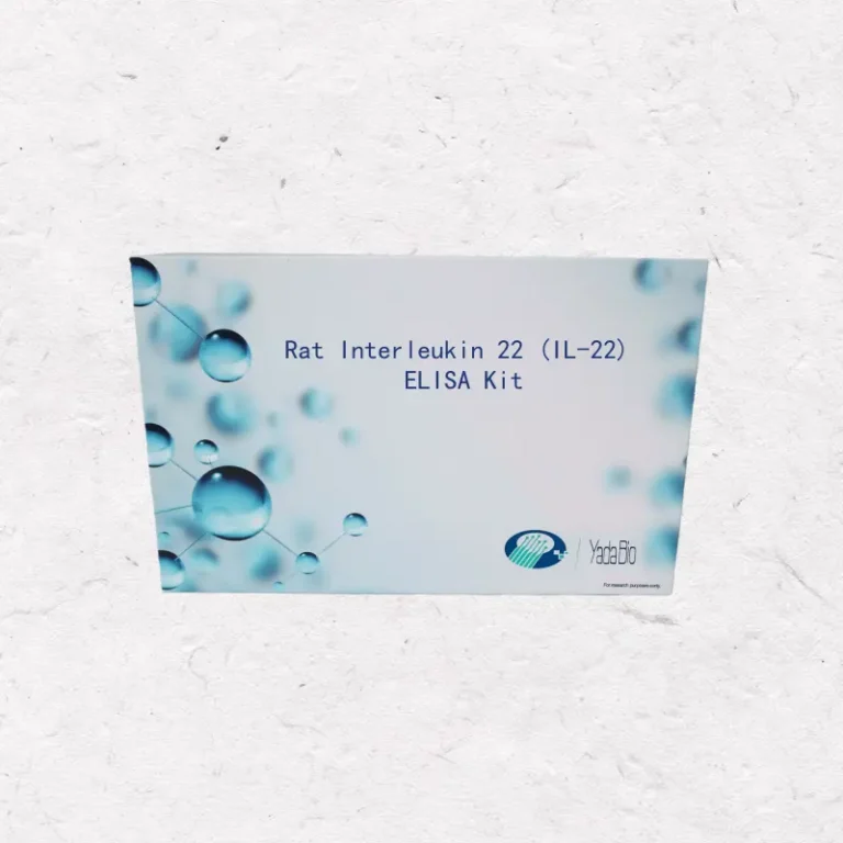 Rat Interleukin 22 (IL-22) ELISA Kit