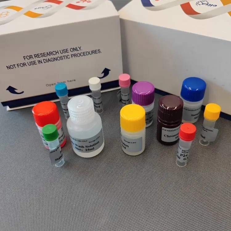 Human Estrone-3-sulfate (E3S) ELISA Kit