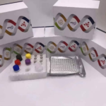 Horse IL-1β ELISA Kit