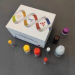 Horse Interleukin-8(IL-8) ELISA Kit