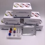 Horse Parathyroid Hormone (PTH) ELISA Kit