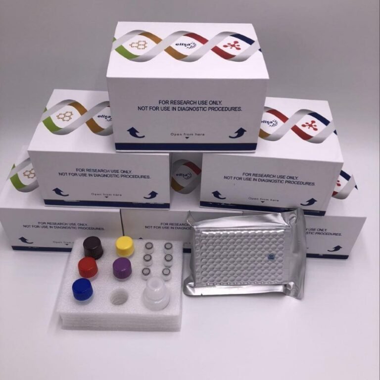 Horse Parathyroid Hormone (PTH) ELISA Kit