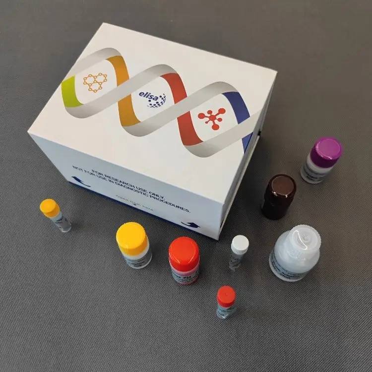 Human (CNPase) ELISA Kit